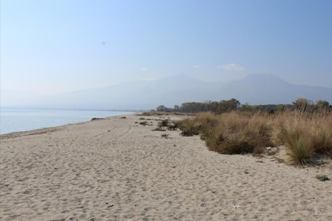 10000m² Land in Litochoro, Greece No. 56886 4