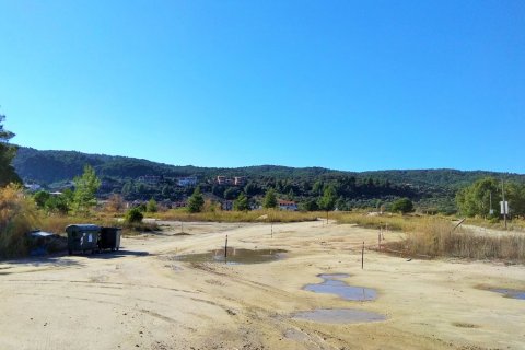 36000m² Land en Chalkidiki, Greece No. 58402 13