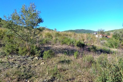 36000m² Land in Chalkidiki, Greece No. 58402 6