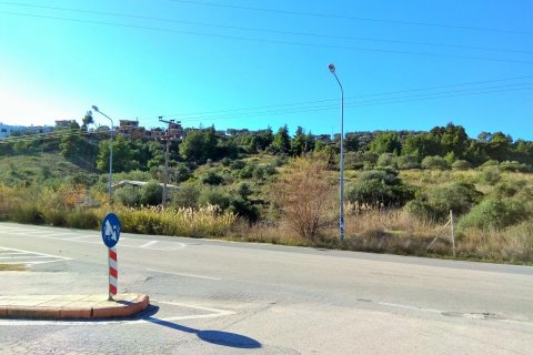 36000m² Land en Chalkidiki, Greece No. 58402 8