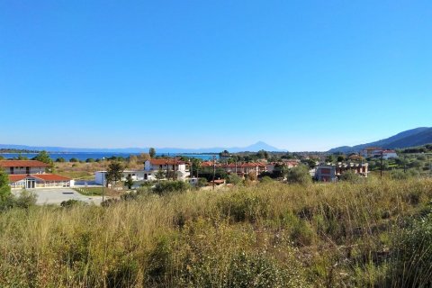 36000m² Land en Chalkidiki, Greece No. 58402 1