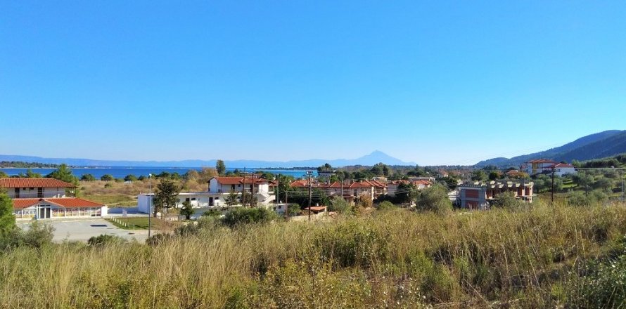 36000m² Land in Chalkidiki, Greece No. 58402