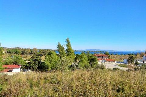 36000m² Land à Chalkidiki, Greece No. 58402 2