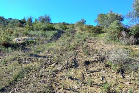 36000m² Land in Chalkidiki, Greece No. 58402 7