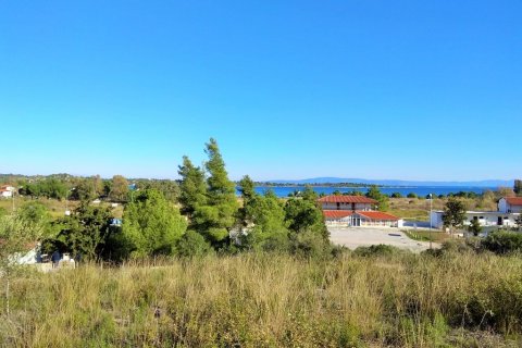 36000m² Land à Chalkidiki, Greece No. 58402 4