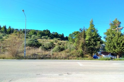 36000m² Land in Chalkidiki, Greece No. 58402 9