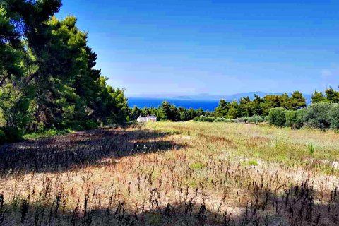 8000m² Land in Chalkidiki, Greece No. 58400 4