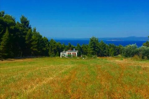 8000m² Land in Chalkidiki, Greece No. 58400 1