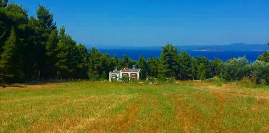 8000m² Land in Chalkidiki, Greece No. 58400