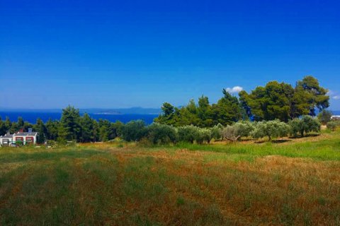 8000m² Land en Chalkidiki, Greece No. 58400 2