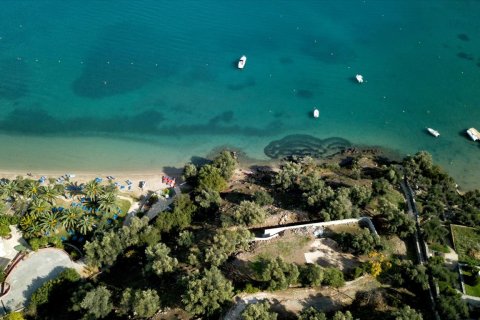 6500m² Land en Corfu, Greece No. 58401 11