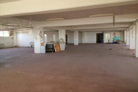 Здание 7700м² в Ореокастрон, Греция №58405 12