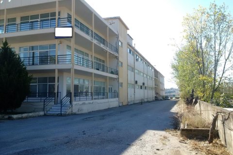 7700m² Building in Oraiokastro, Greece No. 58405 7