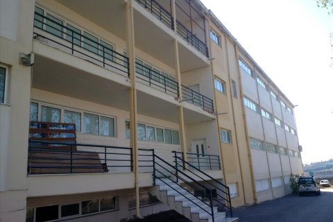 7700m² Building in Oraiokastro, Greece No. 58405 9