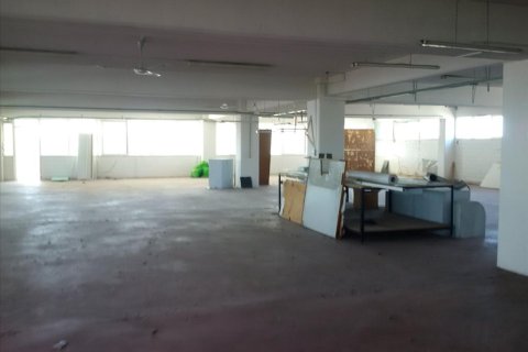 Здание 7700м² в Ореокастрон, Греция №58405 14