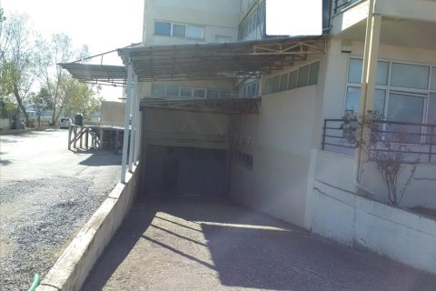 7700m² Building in Oraiokastro, Greece No. 58405 18