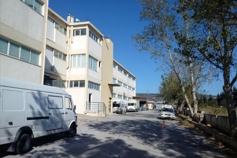 7700m² Building in Oraiokastro, Greece No. 58405 6