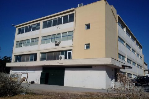 7700m² Edificio en Oraiokastro, Greece No. 58405 4