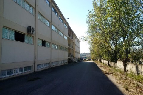 7700m² Edificio en Oraiokastro, Greece No. 58405 8