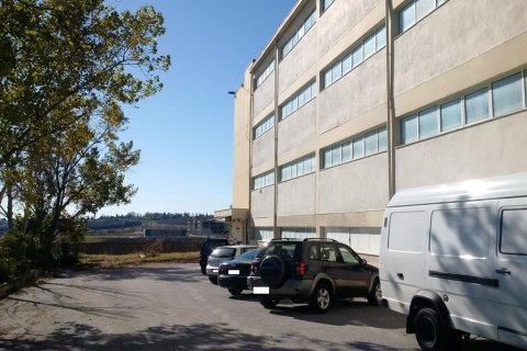 7700m² Building in Oraiokastro, Greece No. 58405 5