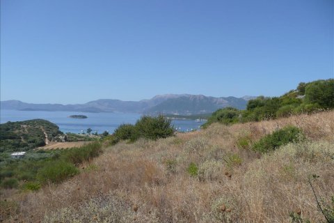 150000m² Land in Meganisi, Greece No. 60361 24