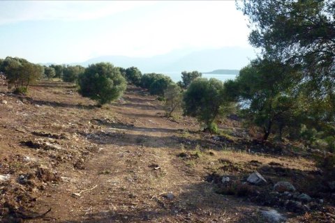 150000m² Land à Meganisi, Greece No. 60361 9