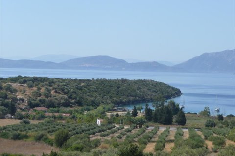 150000m² Land in Meganisi, Greece No. 60361 19