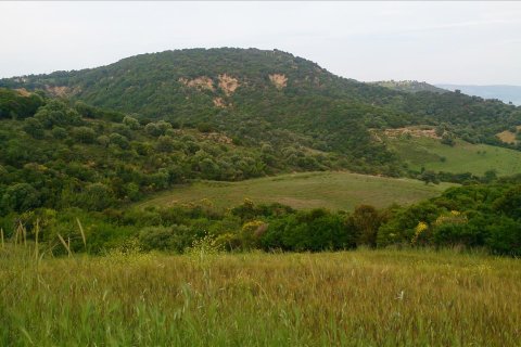 11300m² Land à Chalkidiki, Greece No. 60362 6