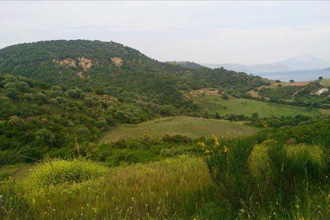 11300m² Land à Chalkidiki, Greece No. 60362 2