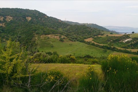 11300m² Land en Chalkidiki, Greece No. 60362 5