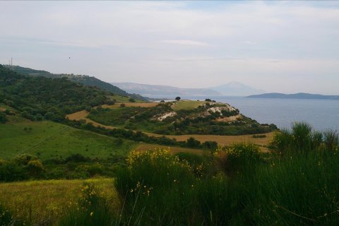 11300m² Land à Chalkidiki, Greece No. 60362 1