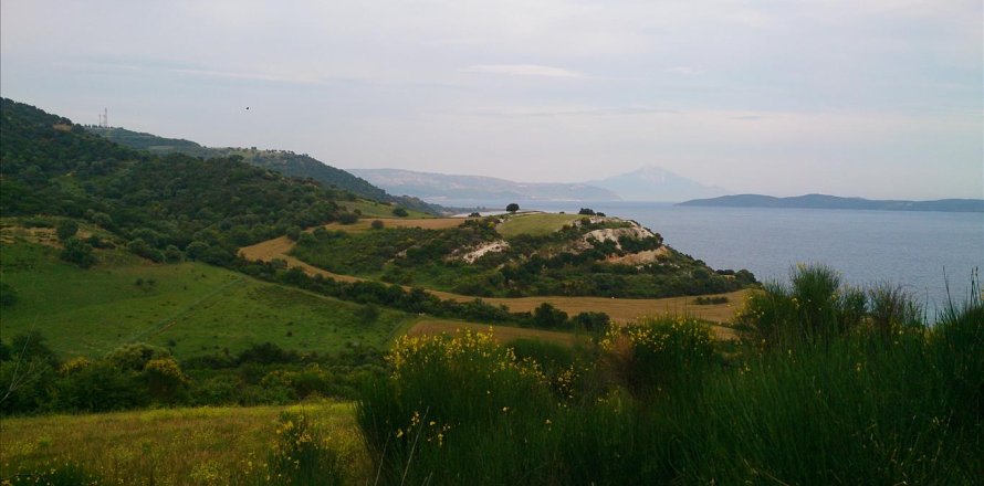 11300m² Land en Chalkidiki, Greece No. 60362