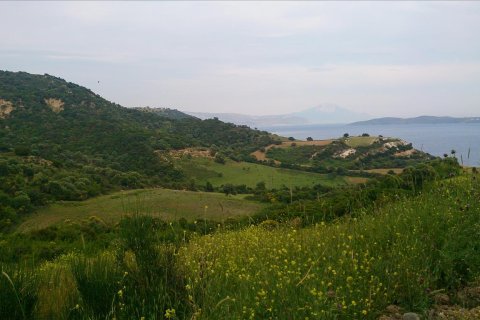 11300m² Land in Chalkidiki, Greece No. 60362 3