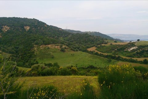 11300m² Land en Chalkidiki, Greece No. 60362 4