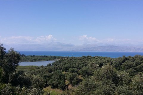 34000m² Land in Corfu, Greece No. 60360 3