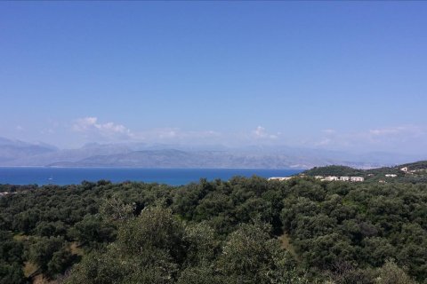 34000m² Land in Corfu, Greece No. 60360 2