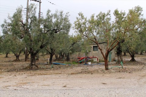 5500m² Land in Polygyros, Greece No. 59790 1