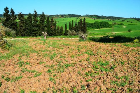 4000m² Land in Chalkidiki, Greece No. 59785 2