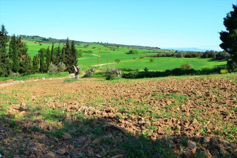 4000m² Land en Chalkidiki, Greece No. 59785 1