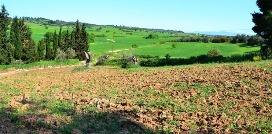 4000m² Land in Chalkidiki, Greece No. 59785