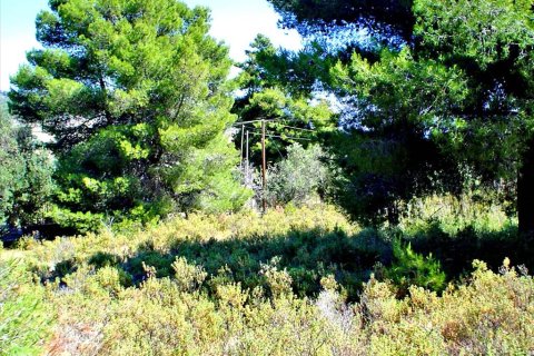 16200m² Land in Loutraki, Greece No. 59586 2